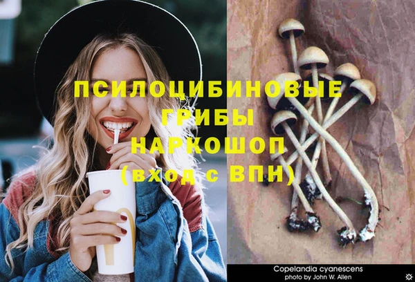 круглые Михайлов